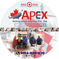 Apex Immigration - Best Immigration and Visa Consultants in Jalandhar/UK,USA ,Canada Visa Expert in Jalandhar