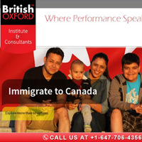 Lawyer Britishoxford Consultants Inc in Brampton ON