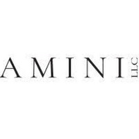 Amini LLC