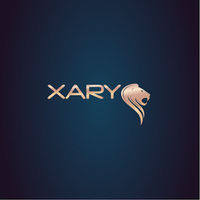 Attorney, Lawyer, Legal Advisor, Counselor XARY in Docklands VIC