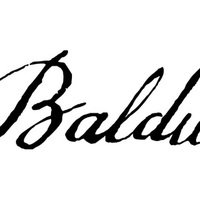 Baldwins Lawyers