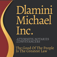 Attorney, Lawyer, Legal Advisor, Counselor DLAMINI MICHAEL INC in uMhlanga 