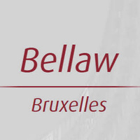 Attorney, Lawyer, Legal Advisor, Counselor Taquet, Clesse & Van Eeckhoutte - Bellaw in Watermael-Boitsfort 