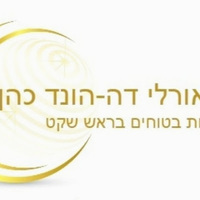 Attorney, Lawyer, Legal Advisor, Counselor עו