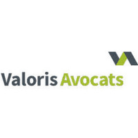 Attorney, Lawyer, Legal Advisor, Counselor Valoris Avocats in Schiltigheim Grand-Est