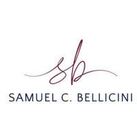 Attorney, Lawyer, Legal Advisor, Counselor Samuel C. Bellicini in Sausalito CA