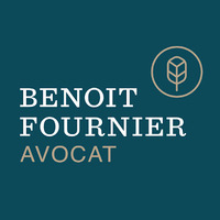 Attorney, Lawyer, Legal Advisor, Counselor Fournier Benoît in Sion Valais