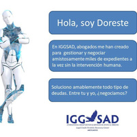 International Group Gestion y Servicios De Apoyo Al Derecho S L (IGGSAD)