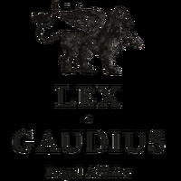 Attorney, Lawyer, Legal Advisor, Counselor Lex Gaudius in Helsinki Uusimaa