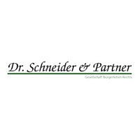 Dr. Schneider & Partner GbR