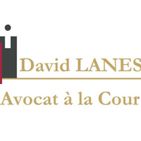 Lanes David Avocat