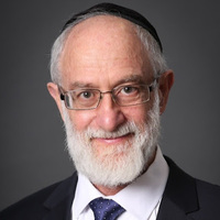 Attorney, Lawyer, Legal Advisor, Counselor DAVID DRUTMAN LAW OFICE in Bet Shemesh Jerusalem District