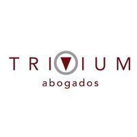 Attorney, Lawyer, Legal Advisor, Counselor Trivium Abogados in Palma Santa Cruz de Tenerife