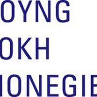 HOYNG ROKH MONEGIER ESPAÑA