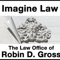 Attorney, Lawyer, Legal Advisor, Counselor Law Office of Robin Gross in San Francisco CA