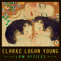 Attorney, Lawyer, Legal Advisor, Counselor Clarke Logan Young Law Offices in Santa Monica CA