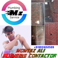 Attorney, Lawyer, Legal Advisor, Counselor Momtaz Ali Plumber in Gaundra BR