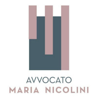 Attorney, Lawyer, Legal Advisor, Counselor Studio Legale Maria Nicolini - Avvocato Specializzato in Diritto di Famiglia a Roma in Rome Lazio