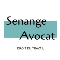 Spécialiste en droit du travail, Me SENANGE