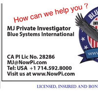 Blue Systems International