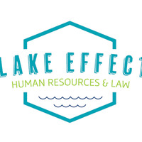 Lawyer Lake Effect HR & Law, LLC in Madison WI