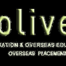 OLIVE CONSULTANTS